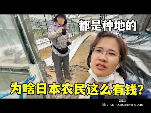 霍勒迪谈加,盟绿军转型,降低进攻权,火博体育,火博体育平台,火博体育App,火博体育下载
